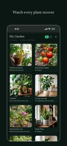 Plynt: Plant Disease Diagnosis screenshot