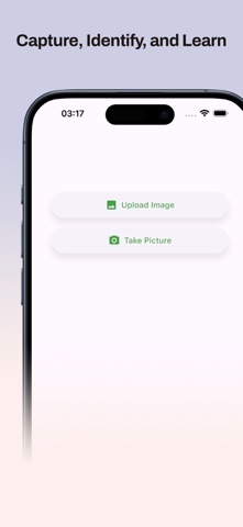 BugSnap - Insect AI Screenshot 1 of 4
