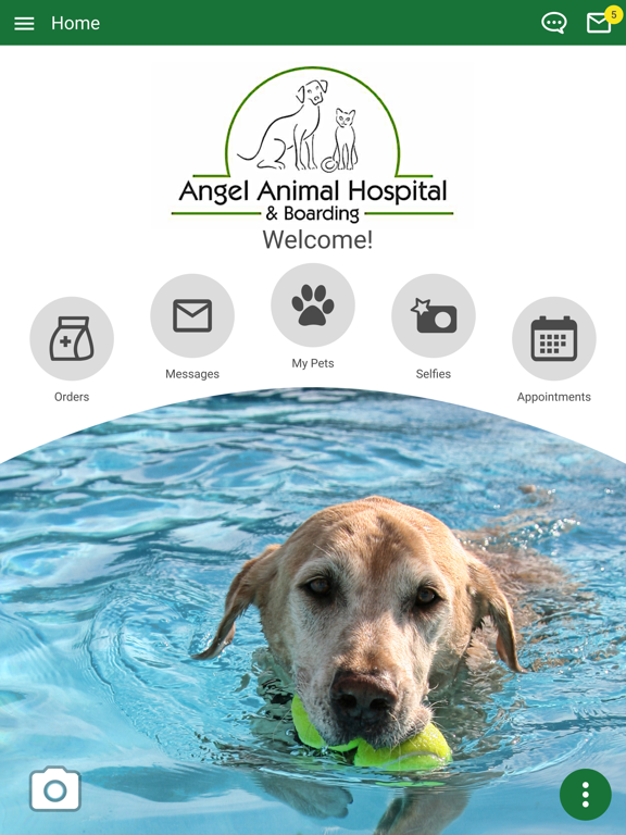 Angel Animal Vet iPad screenshot 1 - Business app