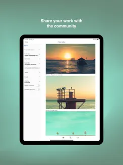 Behance – Creative Portfolios iPad image 4