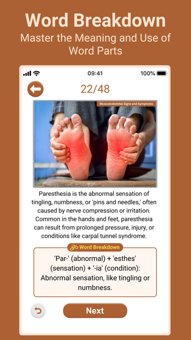 Medical Findings Screenshot