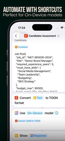 Json2Toon Screenshot 2 of 2