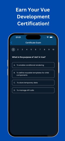 Learn Vue: Code & Build screenshot