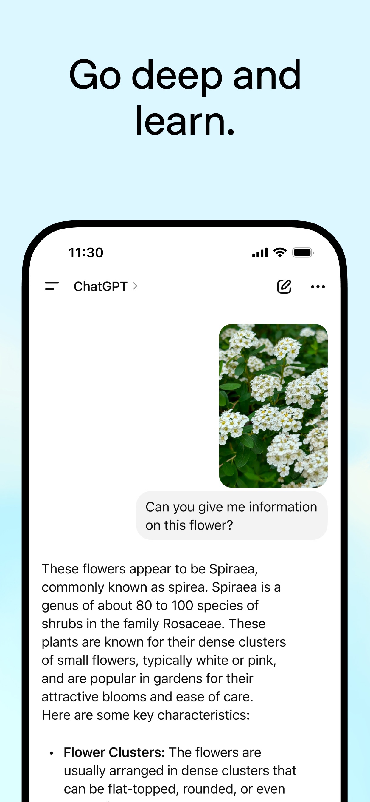 ChatGPT 스크린샷 4