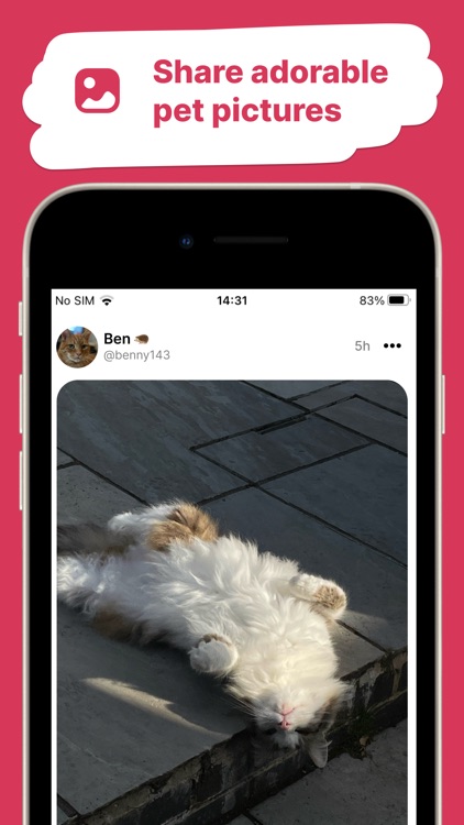 Pawblish - Pet Pictures