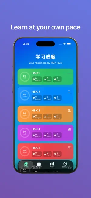 HSK Flash screenshot 2