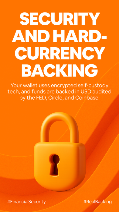 Kontigo Global iPhone screenshot 9 - Finance app