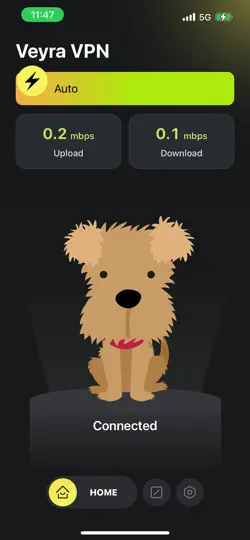 Veyra VPN: Secure Proxy iPhone Ekran Görüntüsü 1