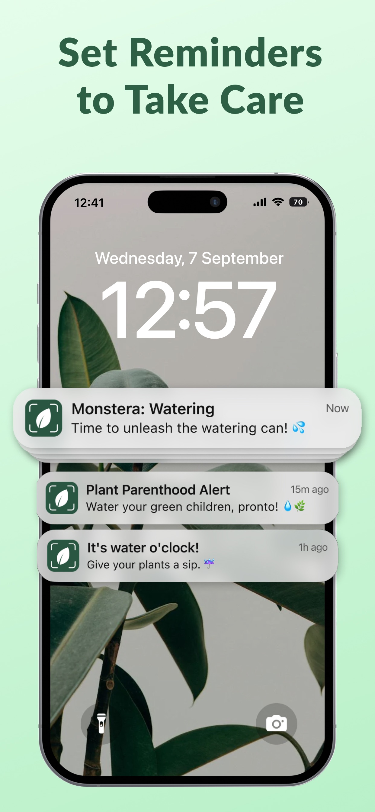 Plant Identification－Plantaria screenshot 8