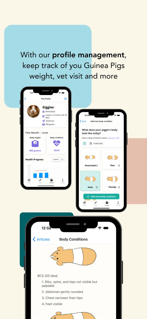 Screenshot #3 pour My Guinea Pig Bowl
