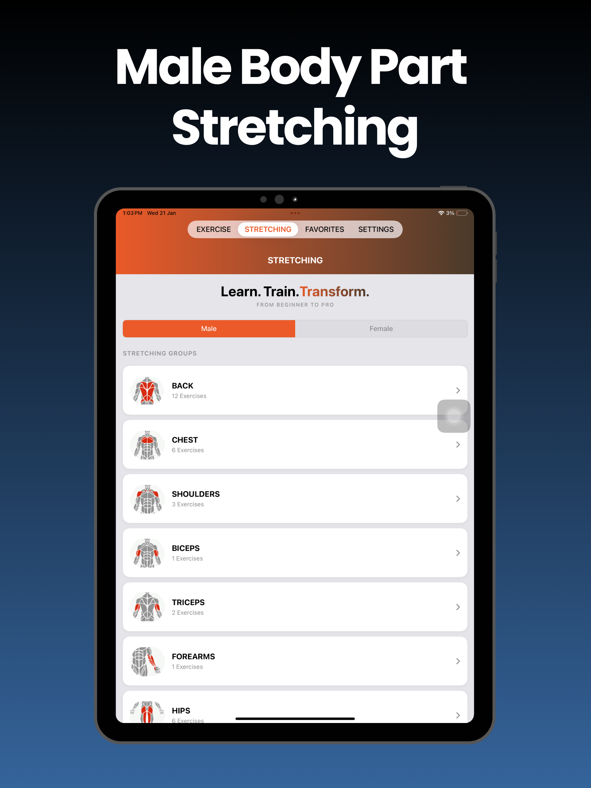 Gym Workout - Fitness Club Lab screenshot 19