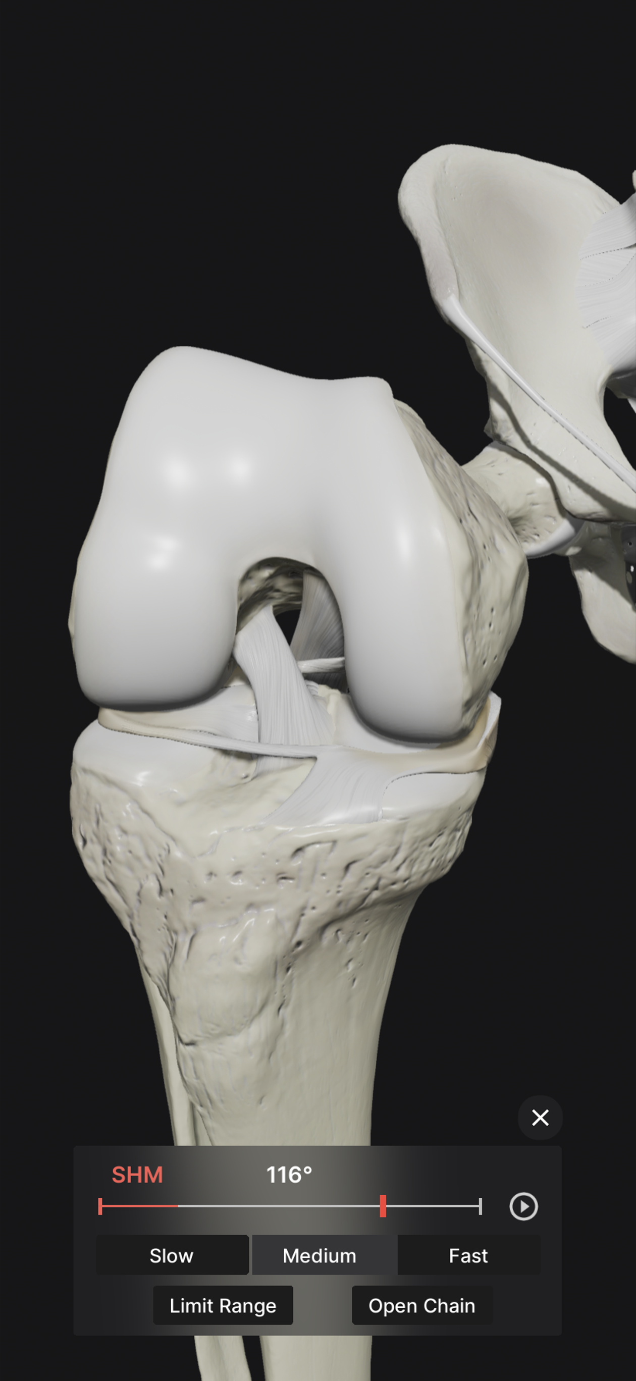 Knee Biomechanics