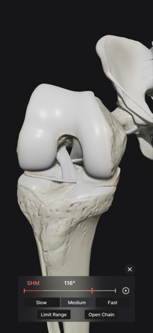 Knee Biomechanics screenshot