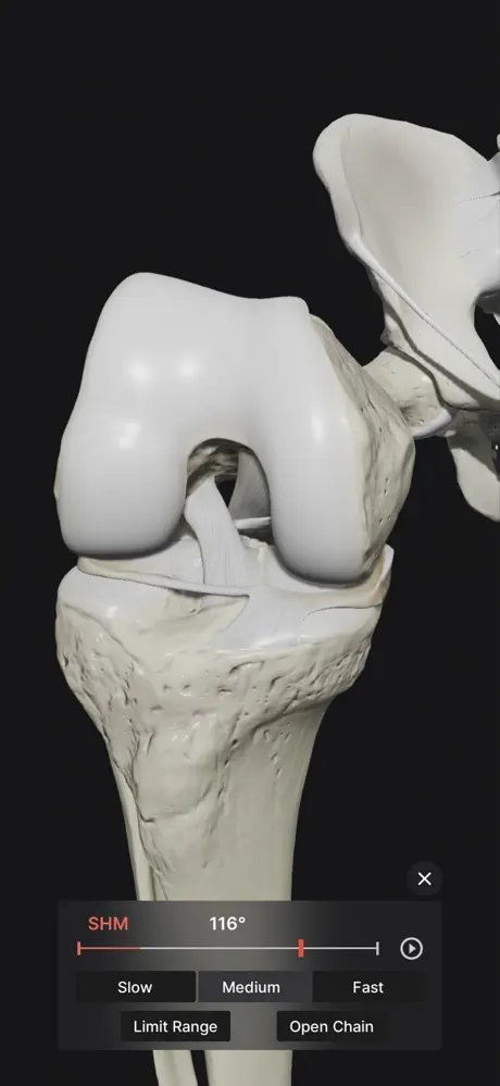 Knee Biomechanics screenshot 6