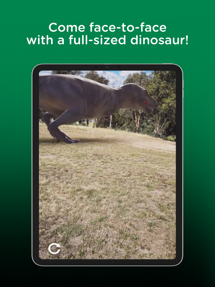 Fossil Crates T. rex