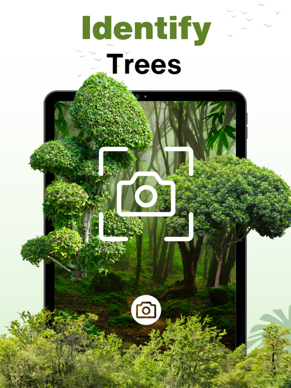 Tree Identifier - Photo ID