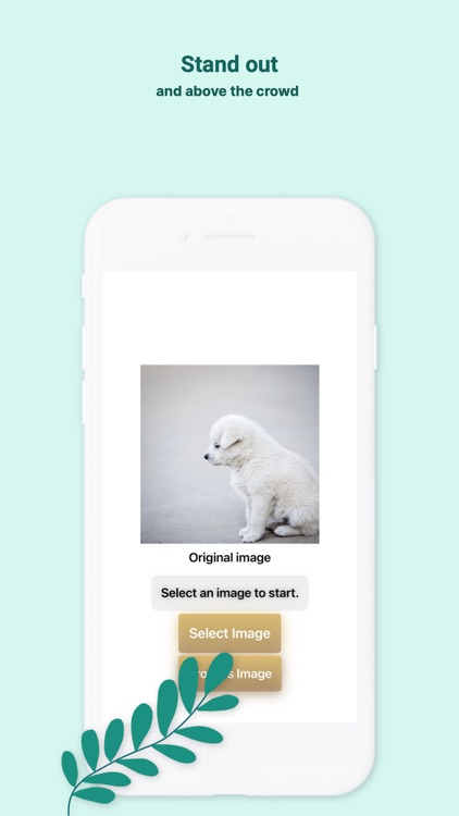 background img remove INGOAMPT screenshot-4