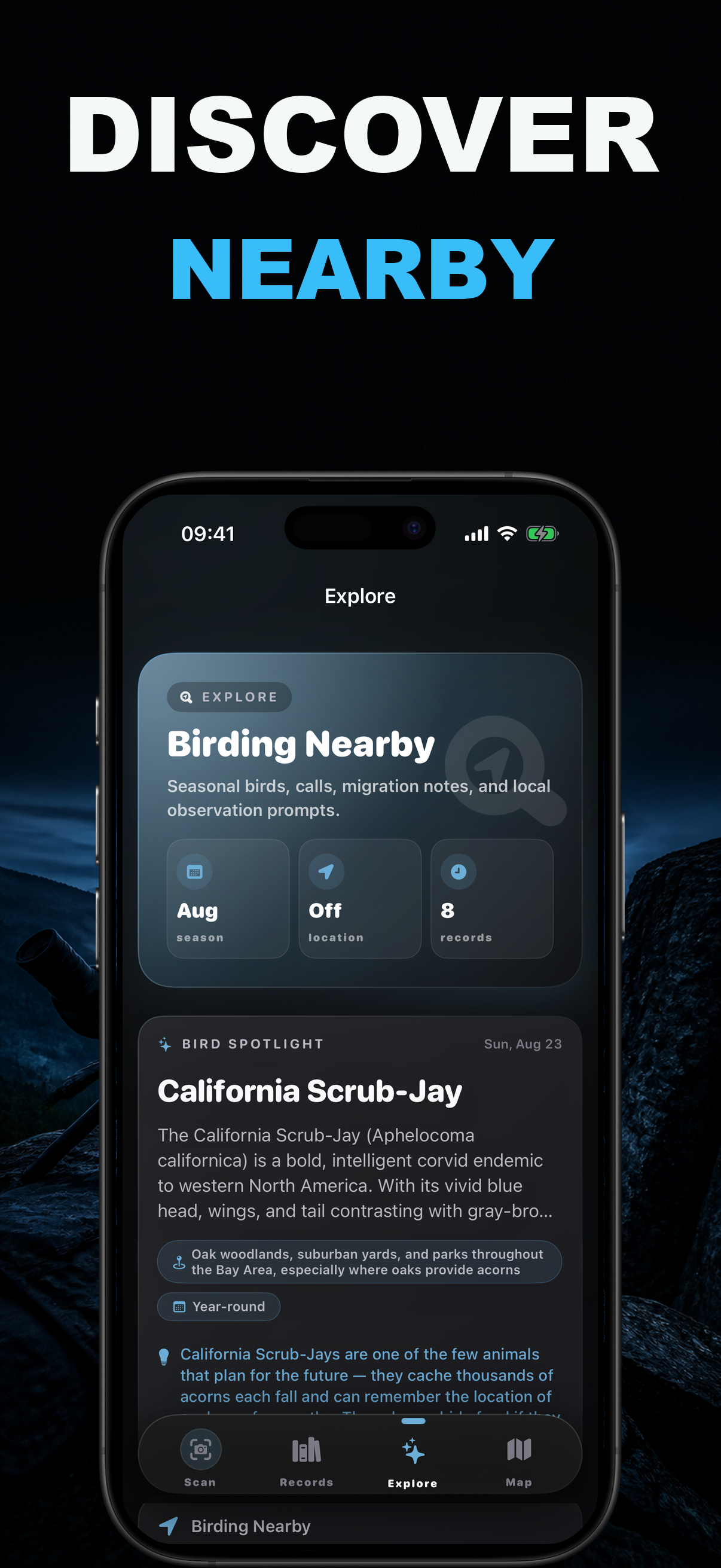 Birdr AI: Bird Identifier screenshot 3