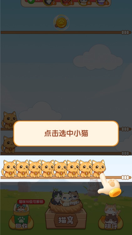 猫咪解压馆
