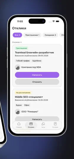 Скриншот AdPulse на iPhone 2