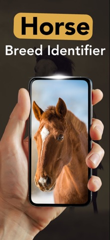Horse Identifier - HorseX Screenshot