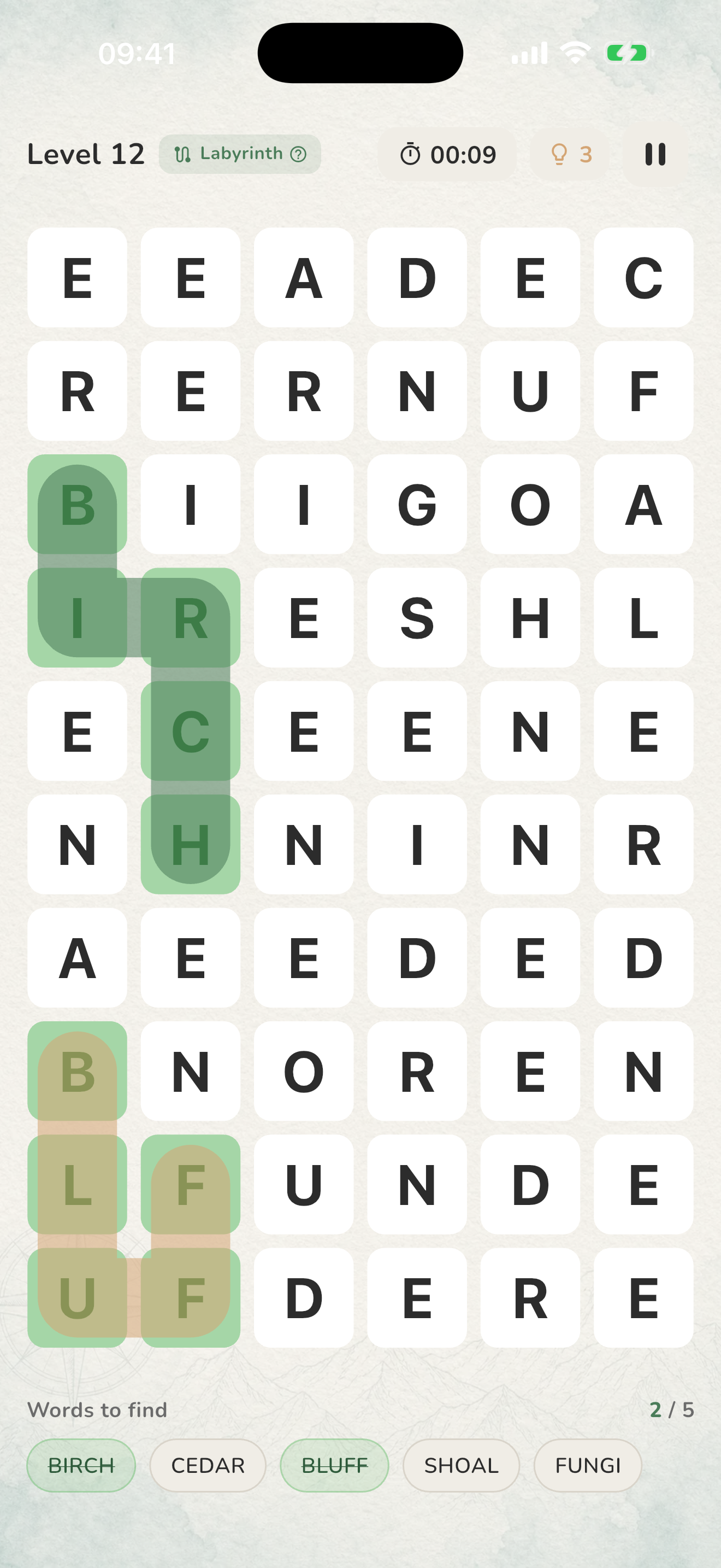 Word Search & Arrow Words screenshot 10