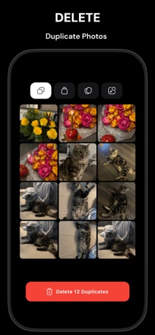 Photokit: Photo Gallery iPhone screenshot
