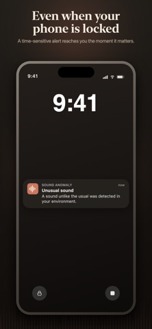 Sound Anomaly: Noise Monitor iPhone screenshot