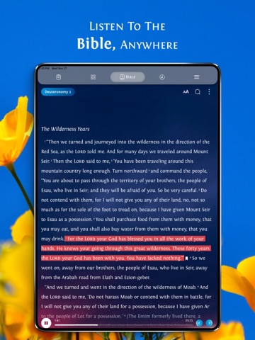 Bible Study for Women App iPad screenshot