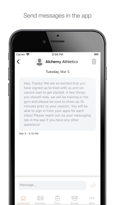 Alchemy Athletics Screenshot
