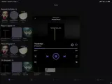 Jellify 1