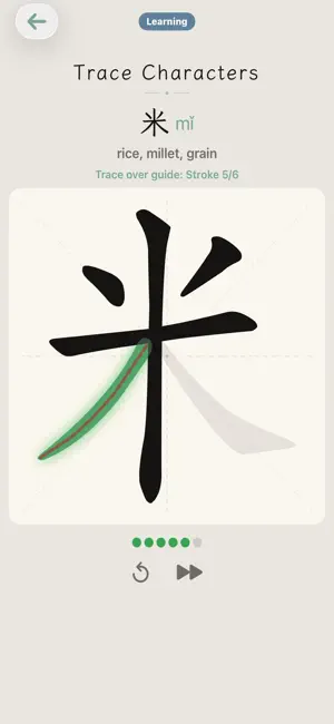 HSK Hanzi screenshot 2