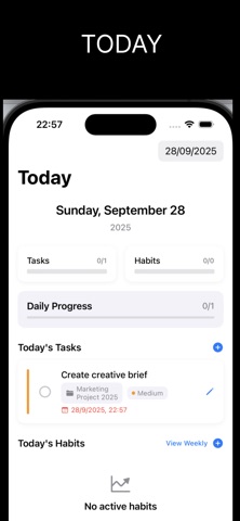 TaskFlow Pro screenshot