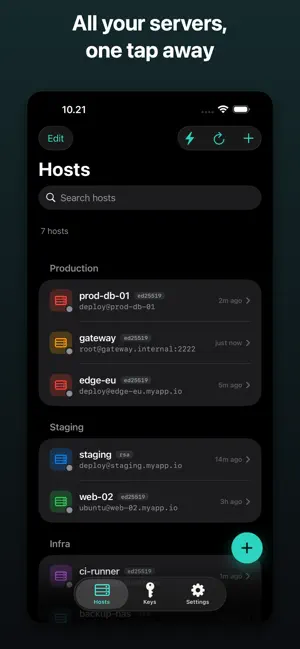Termora SSH iPhone screenshot 2