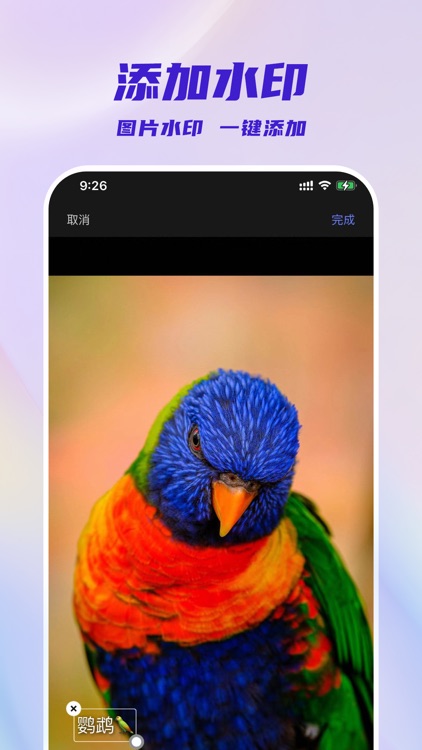 换机助手极速版-零流量手机图片搬家换机