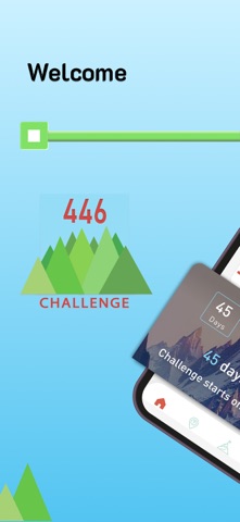 446 Chall screenshot