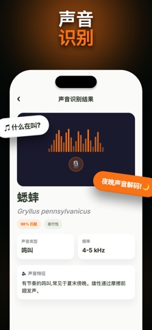 WhatBug: 昆虫识别 screenshot