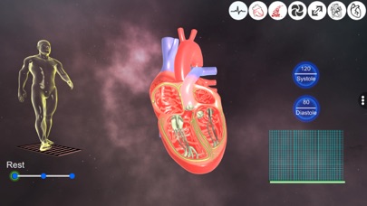 Heart - An incredible pump Screenshot