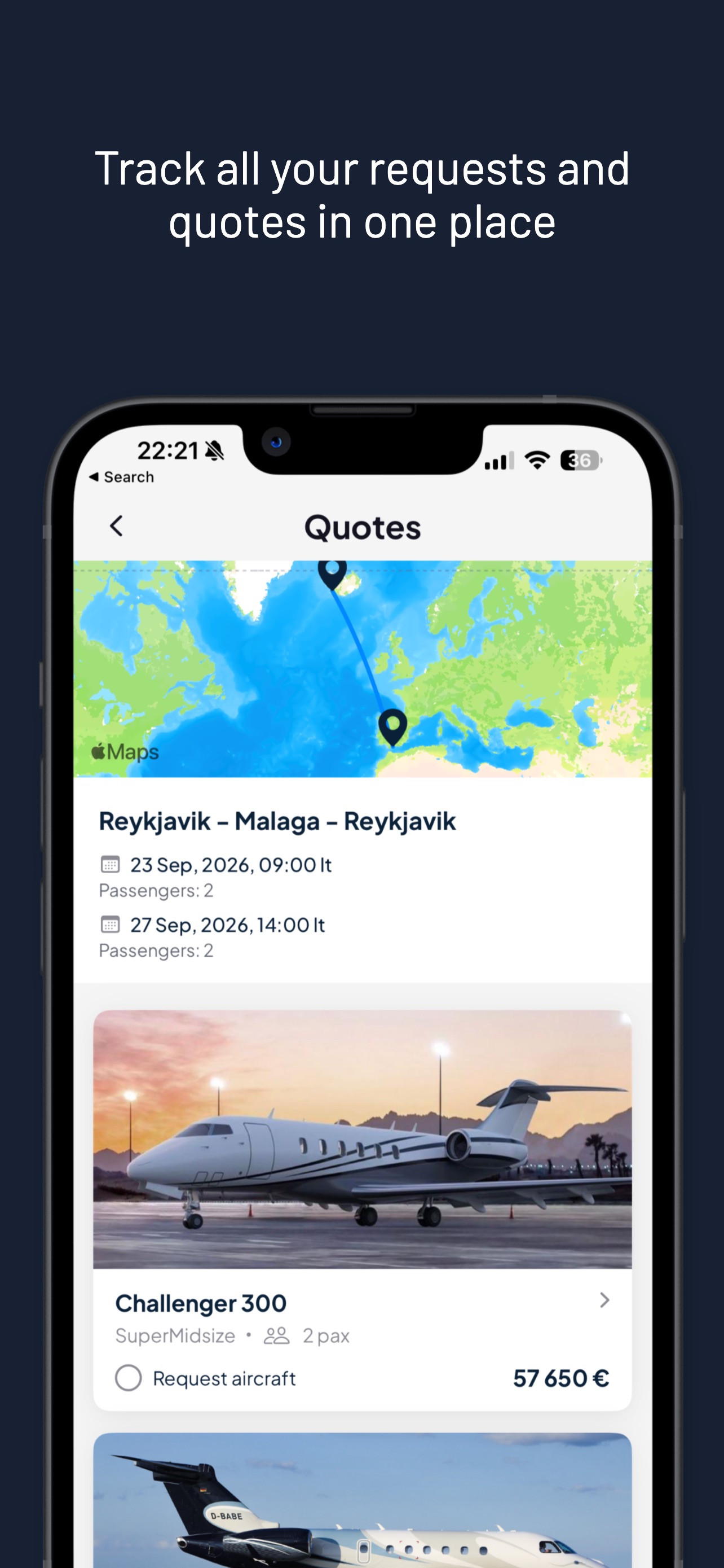 Screenshot 4 of Iceland Aero Agents