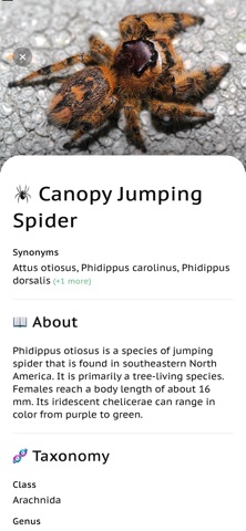 Spider Identifier App Screenshot 6 of 7