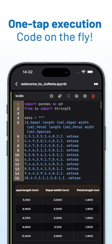 Jupyter Notebook - JuNote screenshot