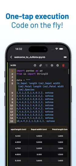 Скриншот Jupyter Notebook - JuNote на iPhone 5