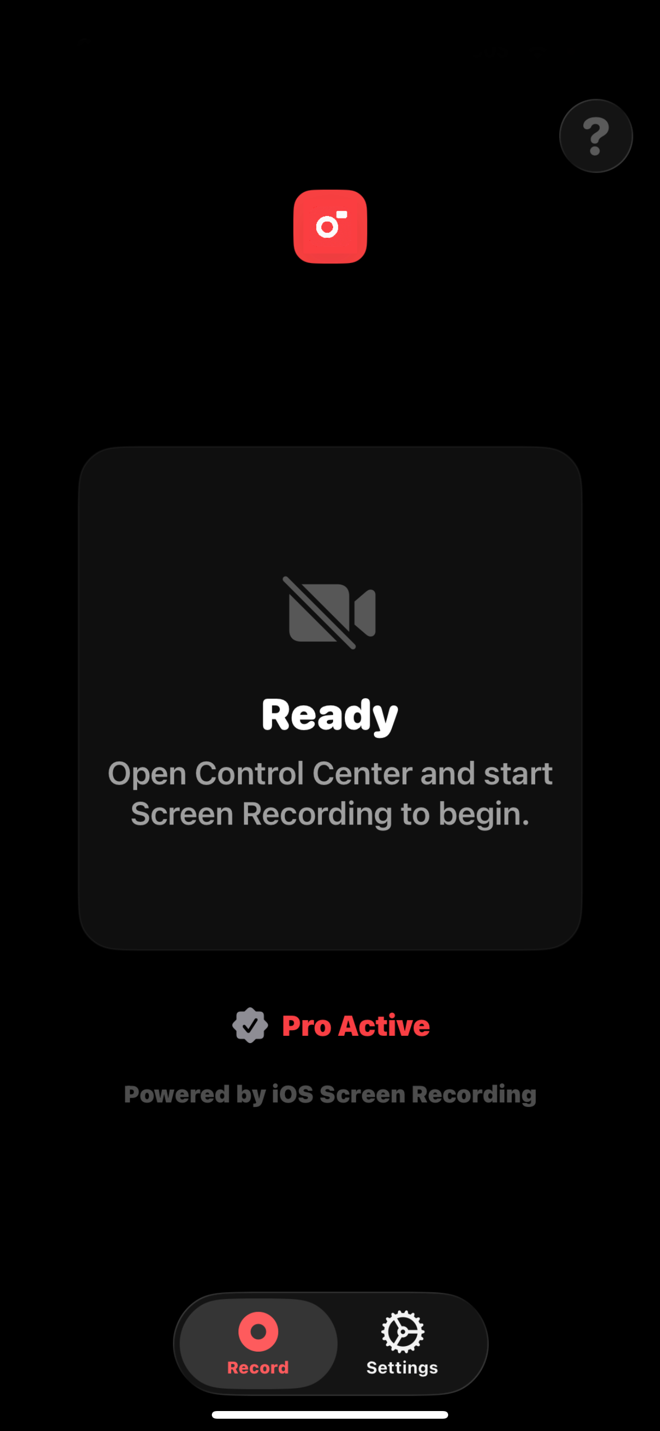 FacePiP screenshot 4