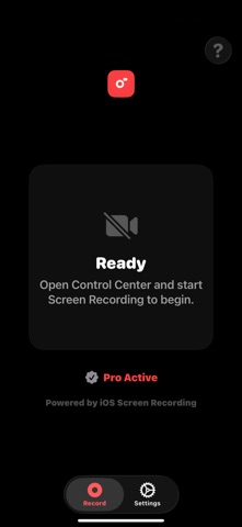 FacePiP Screenshot 3 of 4