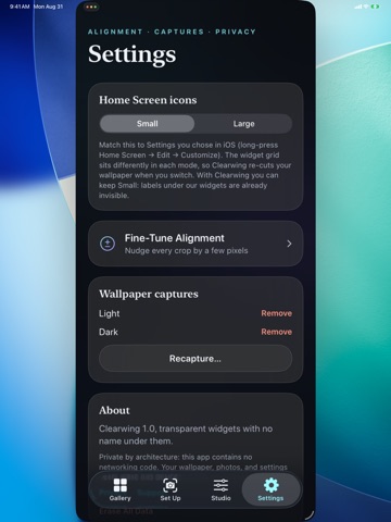 Clearwing: Transparent Widgets iPad screenshot