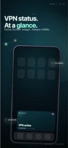 VPN Detector: My IP Address screenshot