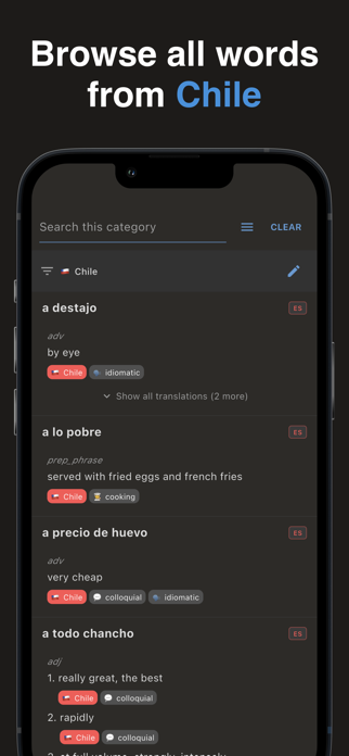 Cueca: Chilean Dictionary Screenshot 3 of 5