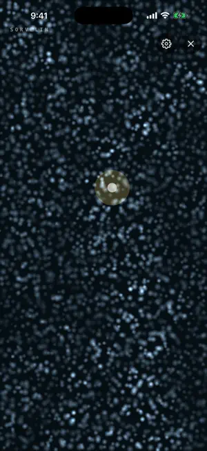 Sorvelin screenshot 1