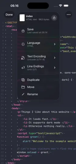 Capture d'écran de Runestone Text Editor sur iPhone 2