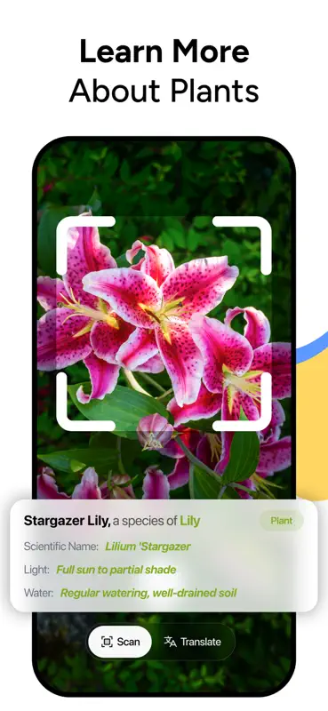 Lens AI & Reverse Image Search screenshot 4 of 7